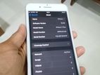 Apple iPhone 7 Plus 128GB (Used)