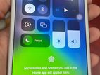 Apple iPhone 7 Plus (Used)