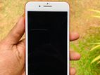 Apple iPhone 7 Plus 256GB (Used)