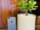 Apple iPhone 7 Plus 256GB (Used)