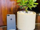 Apple iPhone 7 Plus 256GB (Used)