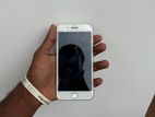 Apple iPhone 7 Plus 256GB (Used)