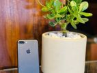 Apple iPhone 7 Plus 32GB (Used)