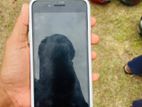 Apple iPhone 7 Plus (Used)