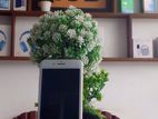 Apple iPhone 7 Plus (Used)