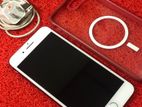 Apple iPhone 7 Plus (Used)