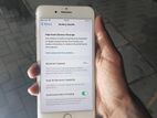 Apple iPhone 7 Plus (Used)