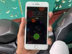 Apple iPhone 7 Plus (Used)