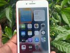 Apple iPhone 7 Plus (Used)