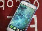 Apple iPhone 7 Plus (Used)