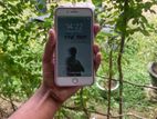 Apple iPhone 7 Plus (Used)