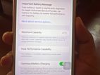 Apple iPhone 7 Plus (Used)