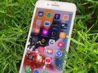 Apple iPhone 7 Plus (Used)
