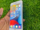 Apple iPhone 7 Plus (Used)