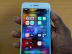 Apple iPhone 7 Plus (Used)