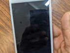 Apple iPhone 7 Plus (Used)