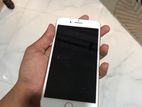 Apple iPhone 7 Plus (Used)