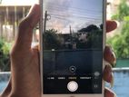 Apple iPhone 7 Plus (Used)