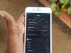Apple iPhone 7 Plus (Used)