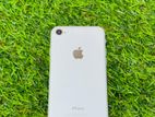 Apple iPhone 7 (Used)