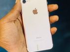 Apple iPhone 7 (Used)