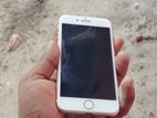 Apple iPhone 7 (Used)