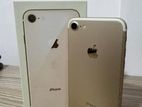 Apple iPhone 7 (Used)