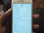 Apple iPhone 7 (Used)
