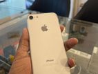 Apple iPhone 7 (Used)