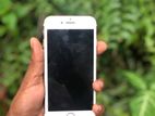 Apple iPhone 7 (Used)