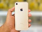 Apple iPhone 7 (Used)