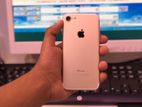 Apple iPhone 7 (Used)
