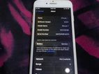 Apple iPhone 7 (Used)