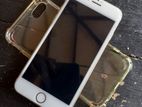 Apple iPhone 7 (Used)