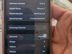 Apple iPhone 7 (Used)