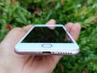Apple iPhone 7 (Used)