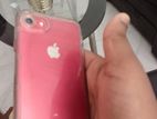 Apple iPhone 7 (Used)