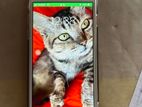 Apple iPhone 7 128GB (Used)