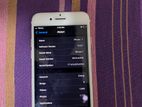 Apple iPhone 7 (Used)