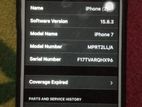 Apple iPhone 7 (Used)