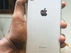 Apple iPhone 7 (Used)