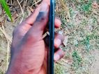 Apple iPhone 7 (Used)
