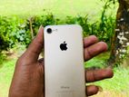 Apple iPhone 7 (Used)