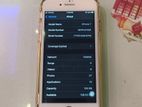 Apple iPhone 7 (Used)