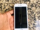 Apple iPhone 7 (Used)