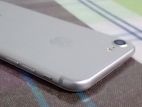 Apple iPhone 7 (Used)
