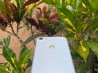 Apple iPhone 7 (Used)