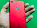 Apple iPhone 7 (Used)