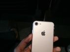 Apple iPhone 7 (Used)