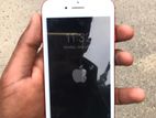 Apple iPhone 7 (Used)